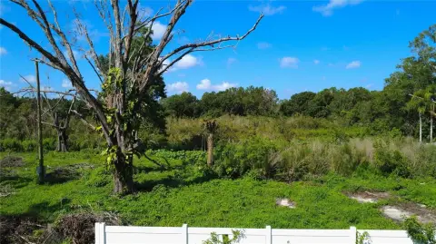 Spacious Lot in Lutz, Florida