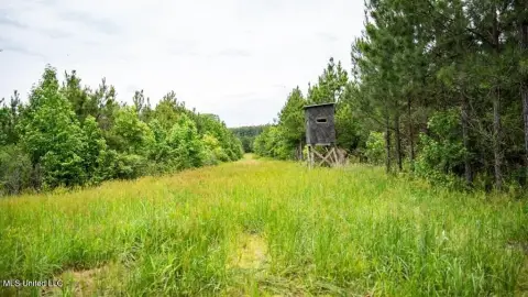 Secluded Hunting Land Near Bastrop