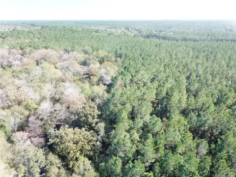 Recreation Land Along Cypress Creek
