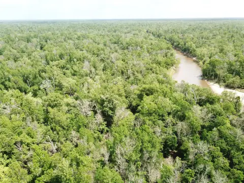Hunting Land with River Frontage