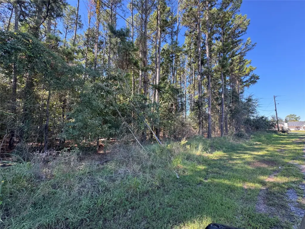 Picture 25