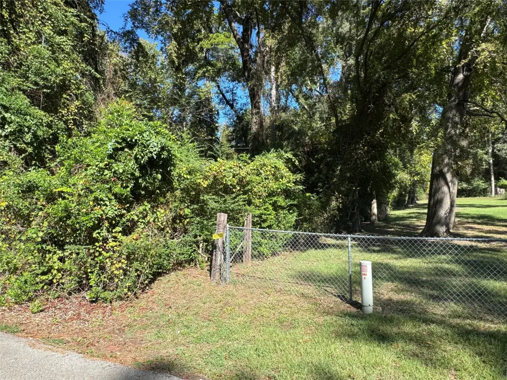Picture 29