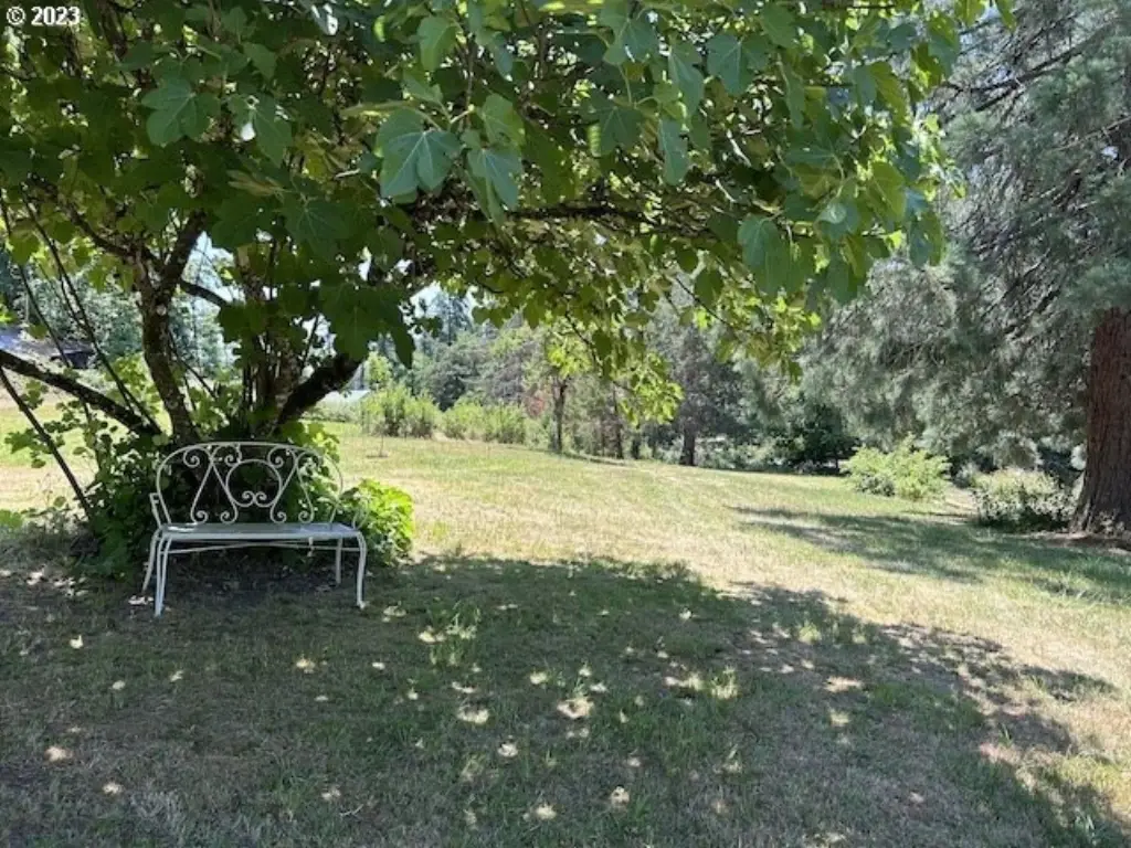 Picture 12