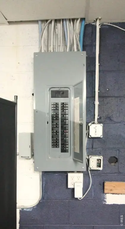 Picture 25