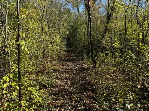 Spacious Residential Lot Near Chain-O-Lakes