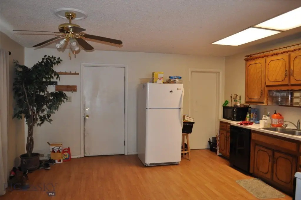 Picture 12
