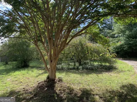 Eastanollee Land For Sale