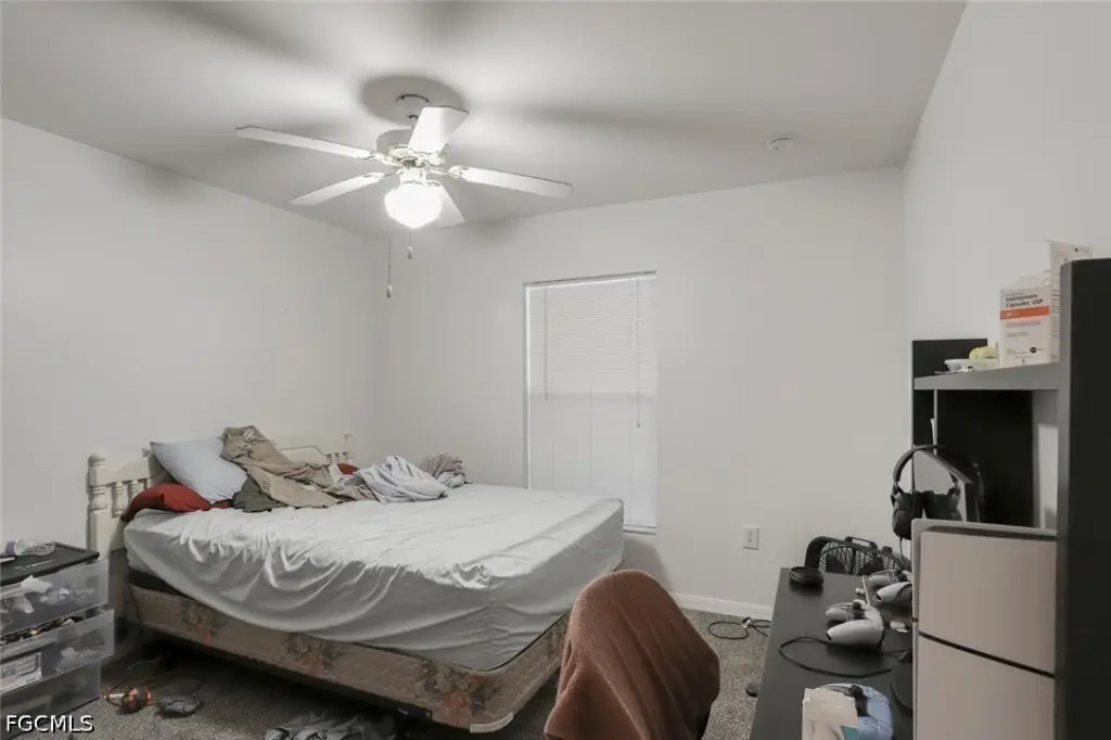 Picture 24
