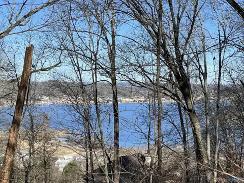 Guntersville Acreage with Lake Views