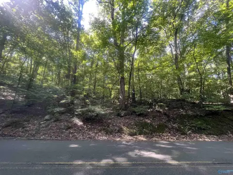 Residential Land in Guntersville, AL