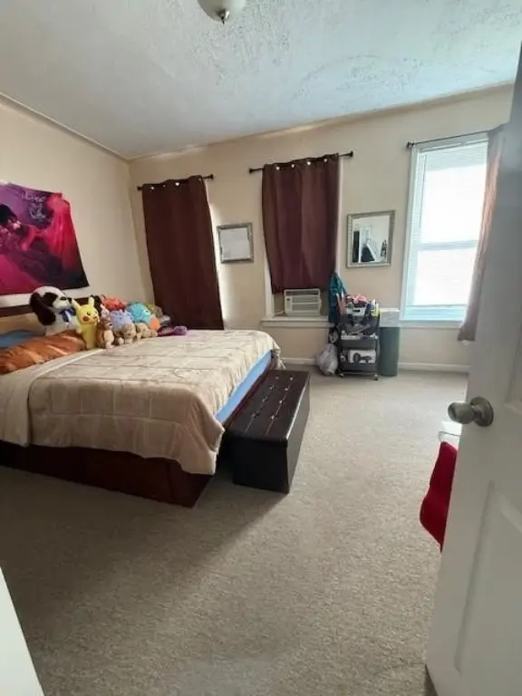 Picture 21