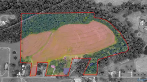 Albertville Commercial/Industrial Land Tract