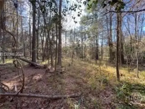 Summerville Land For Sale