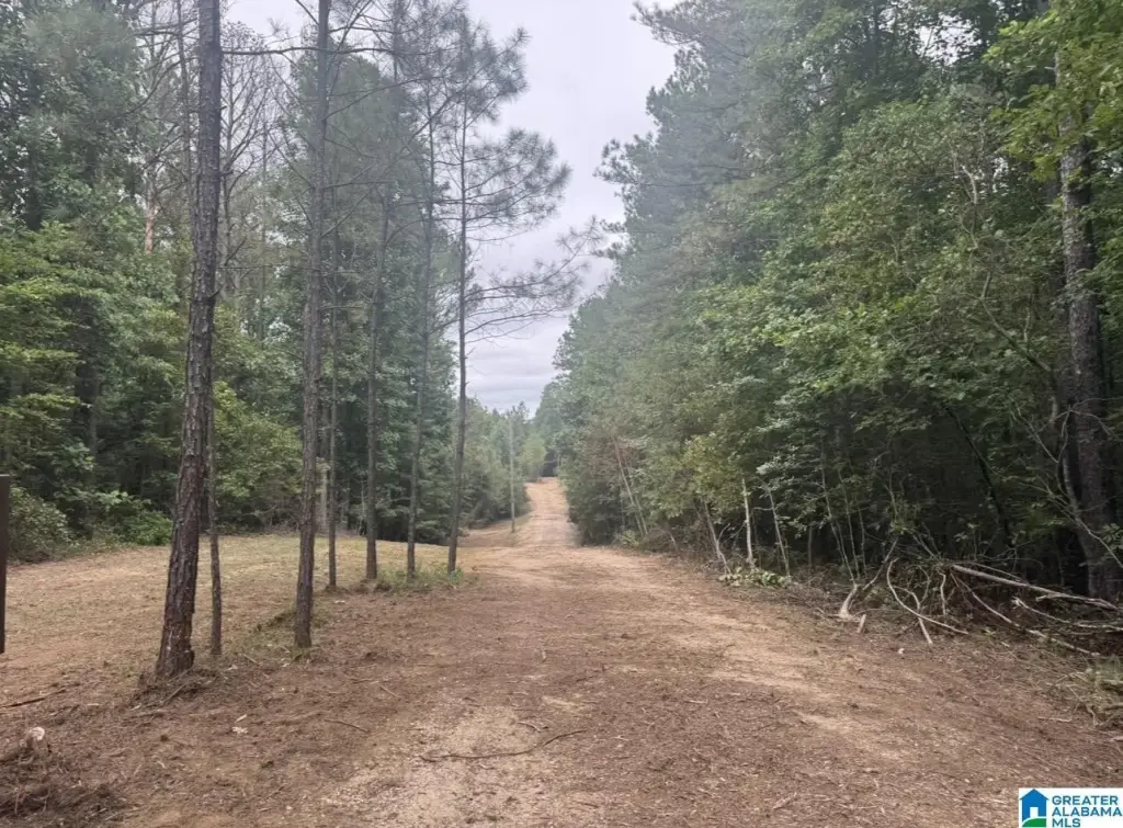Picture 23
