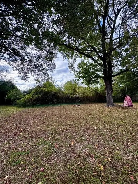 Picture 39