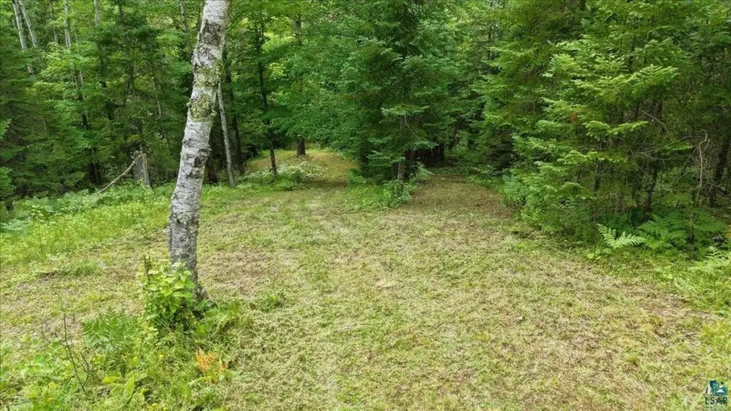 Picture 8