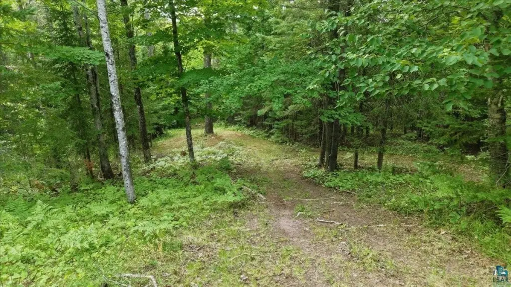 Picture 10