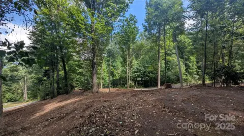 Waynesville Land Near Downtown