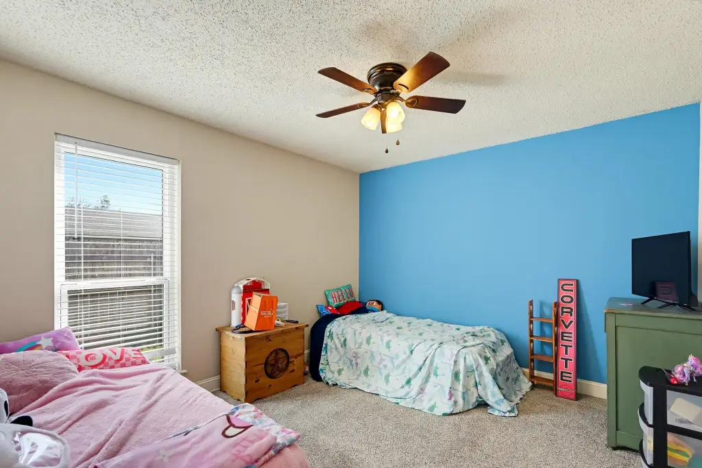 Picture 16