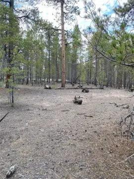 Land in Twin Lakes, CO