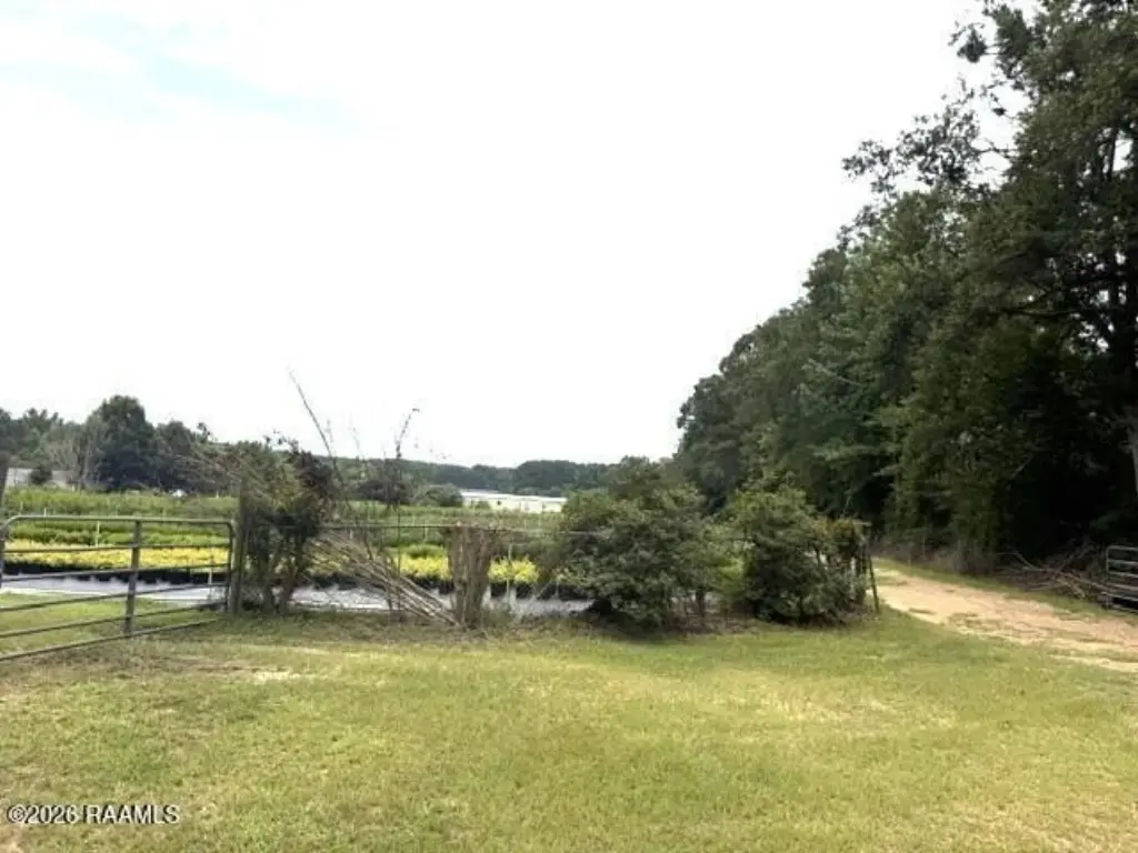 Picture 36