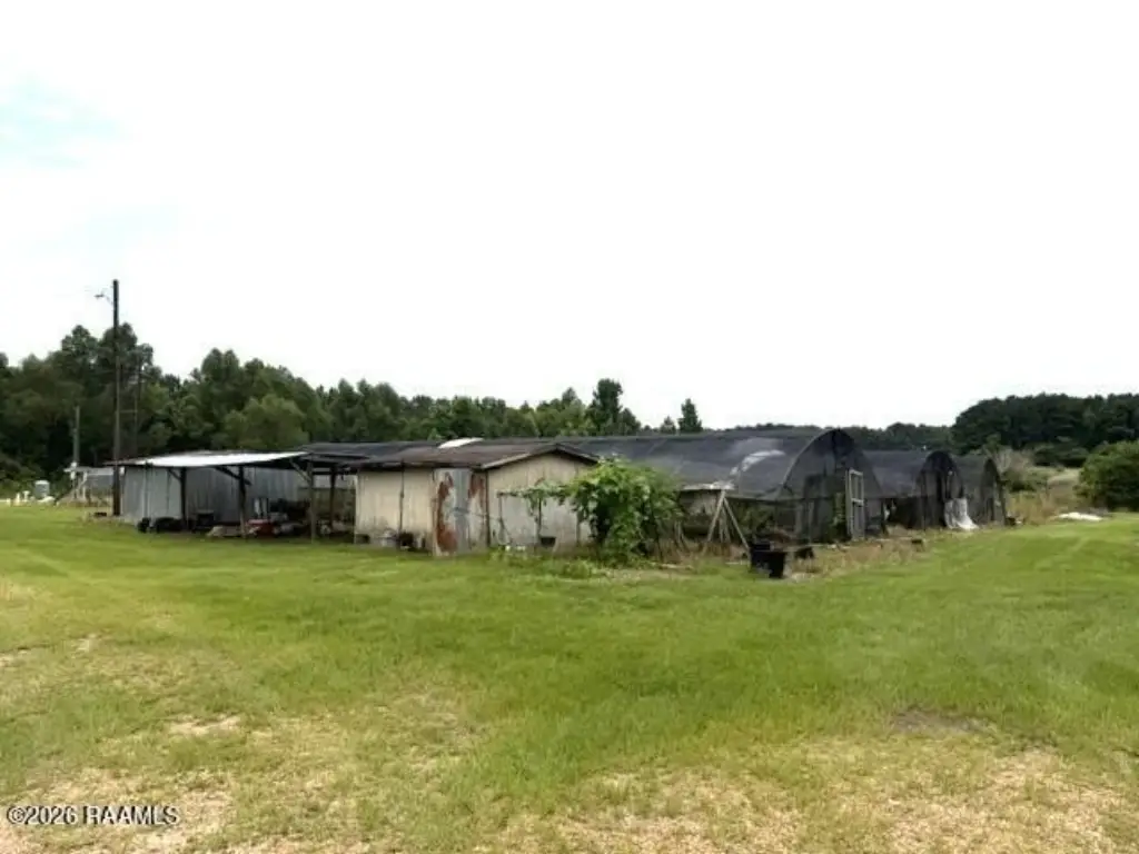 Picture 27