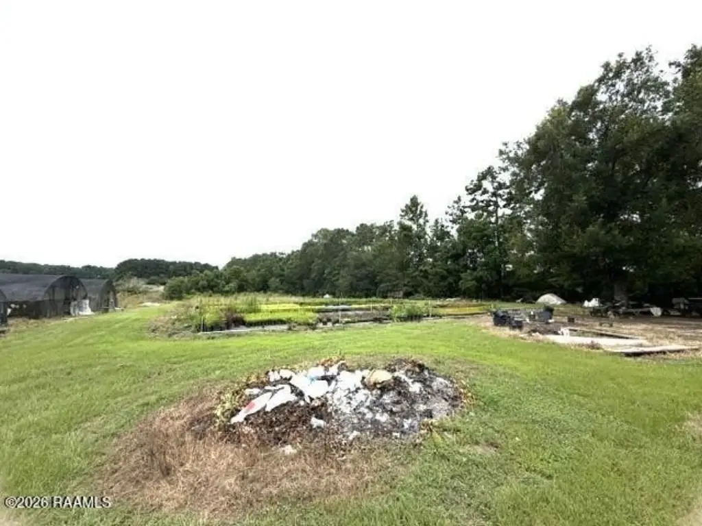 Picture 28
