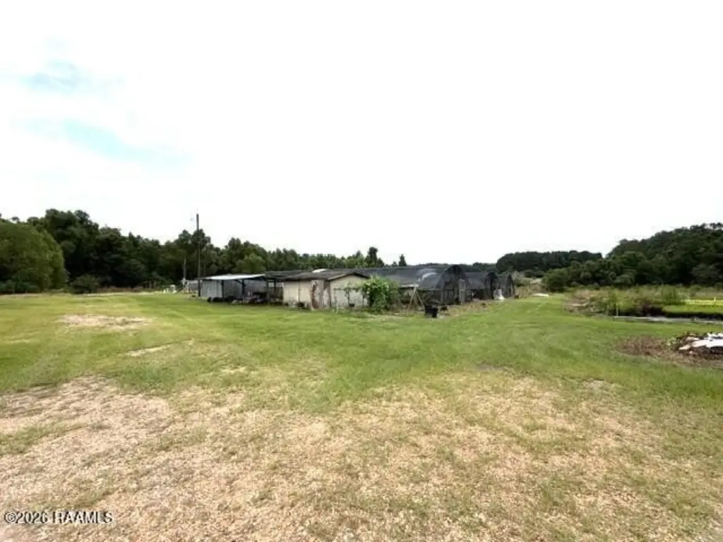 Picture 26