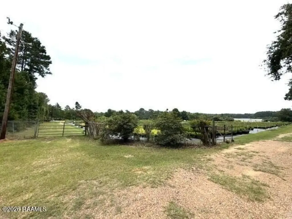 Picture 35
