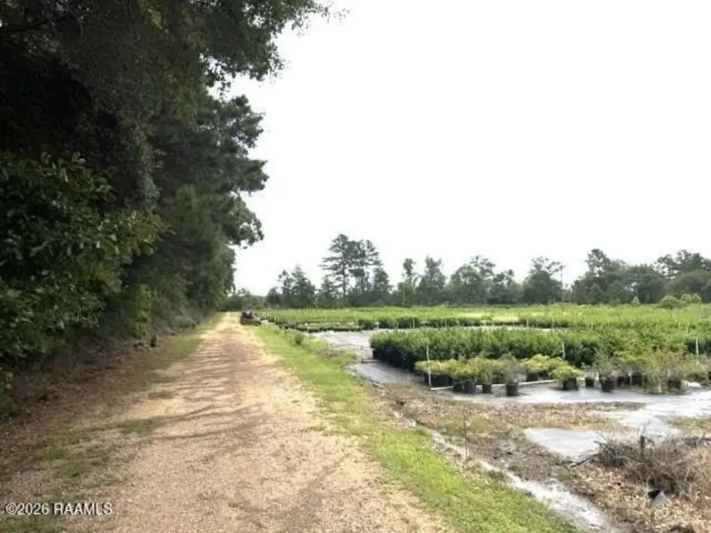 Picture 33
