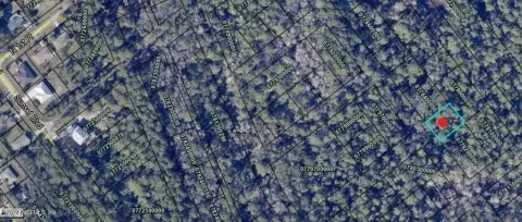 Undeveloped Land in St. Augustine