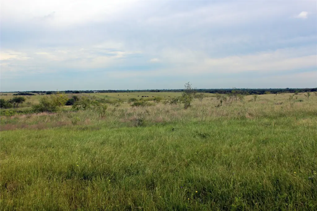 Picture 27