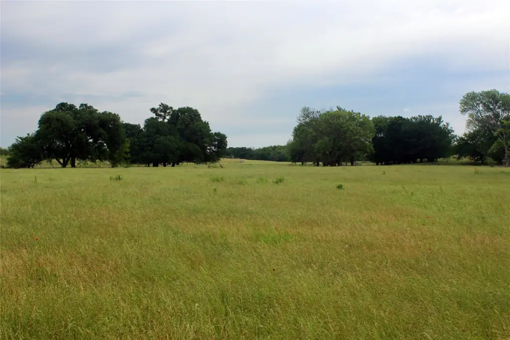 Picture 26