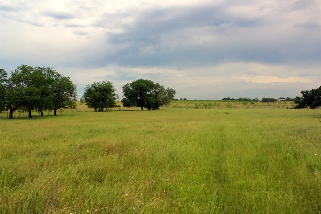 Picture 24