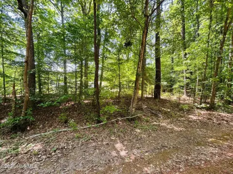 Hertford, NC Land For Sale
