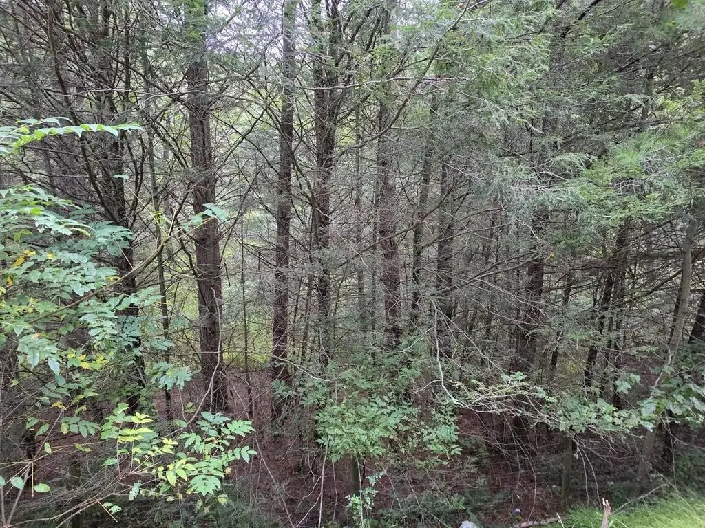 Picture 5