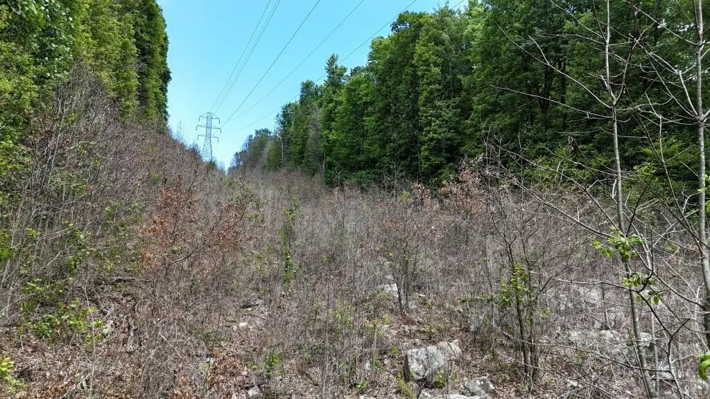 Picture 25