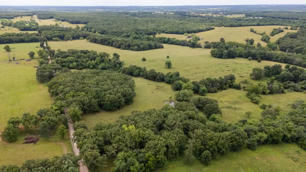 Picture 19