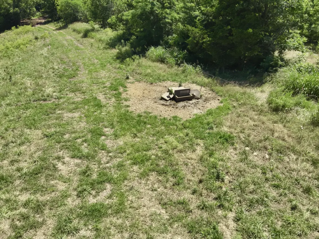 Picture 5