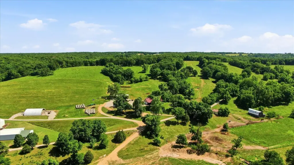 Picture 119
