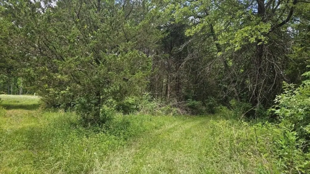 Picture 4