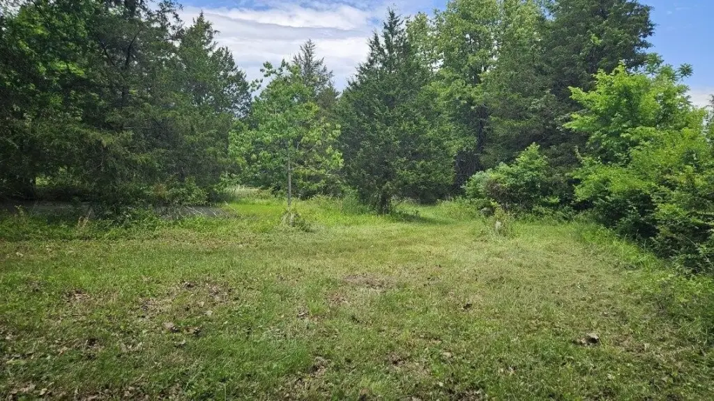 Picture 3