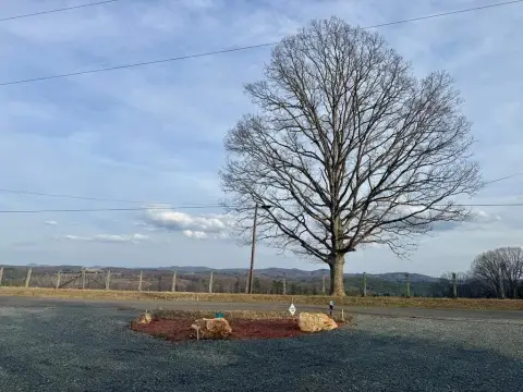 Recreational Land Near Downtown Galax