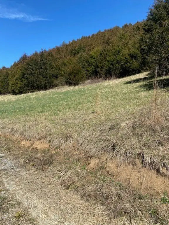 Picture 5