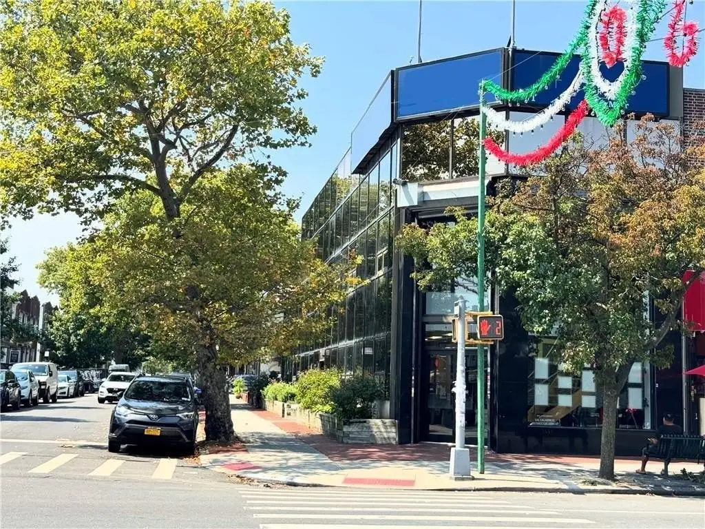 Picture 3