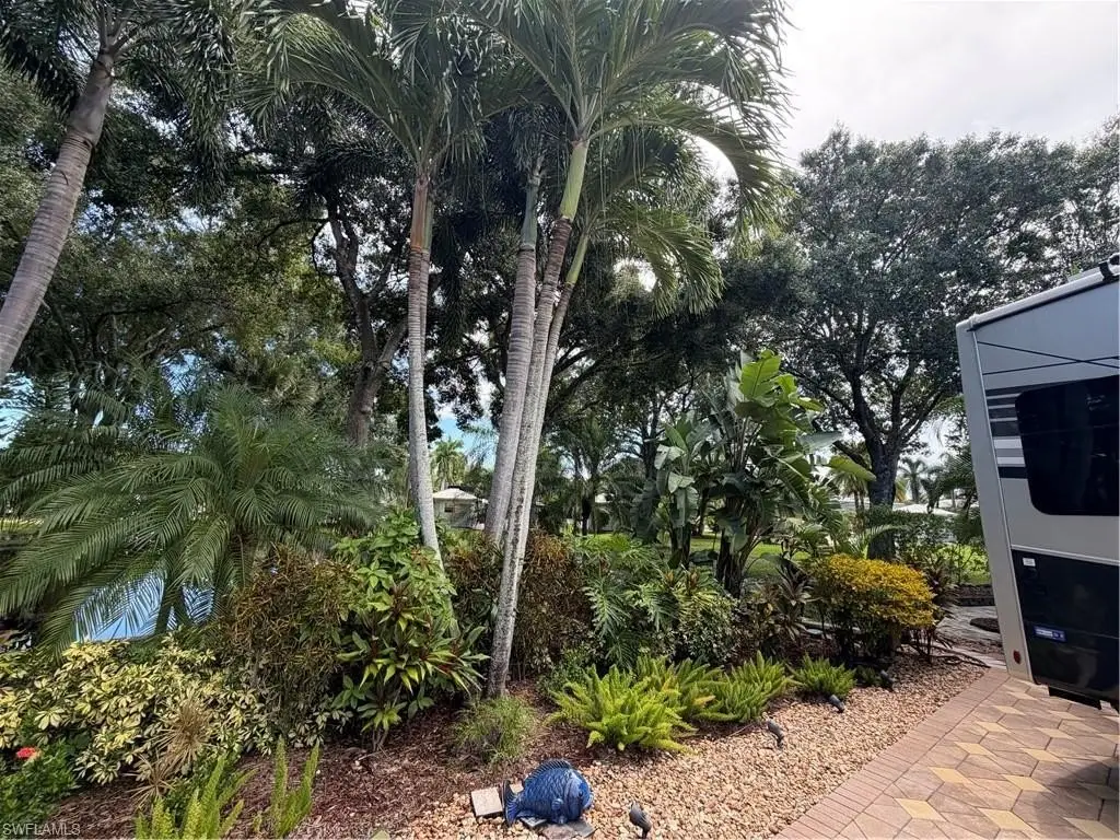 Picture 24