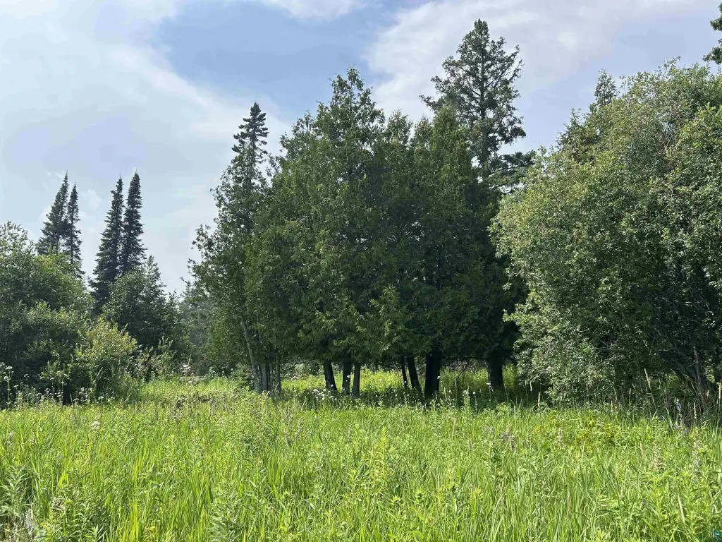 Picture 39