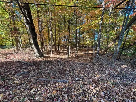 Wooded Lot with Creek Views
