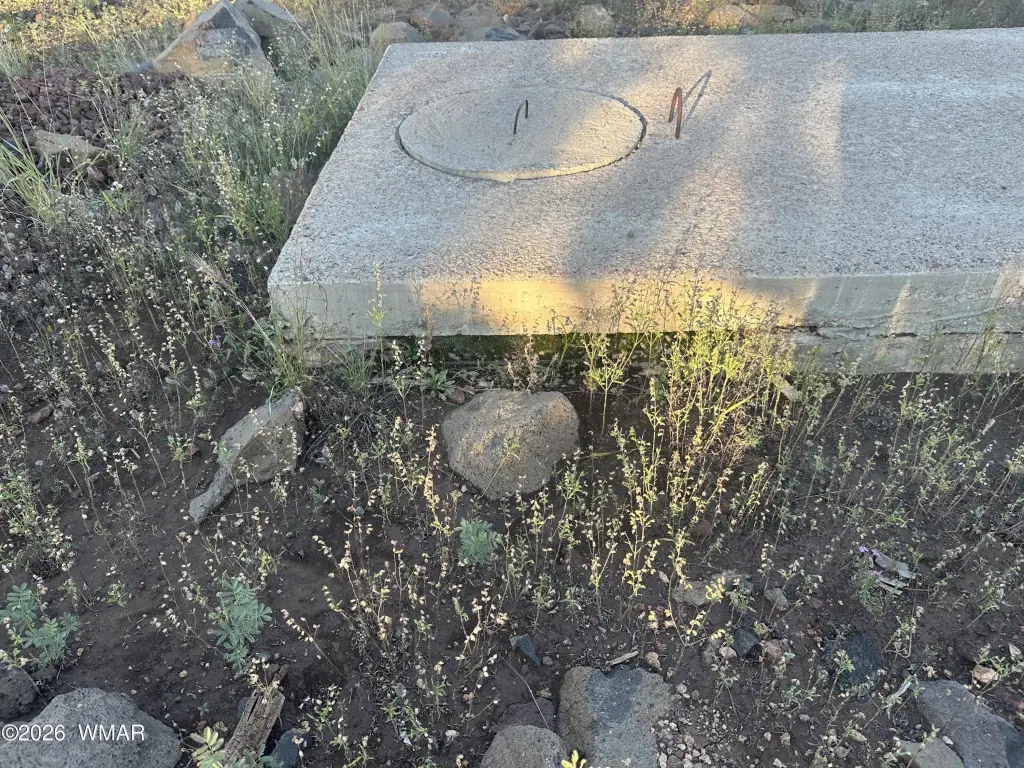 Picture 5