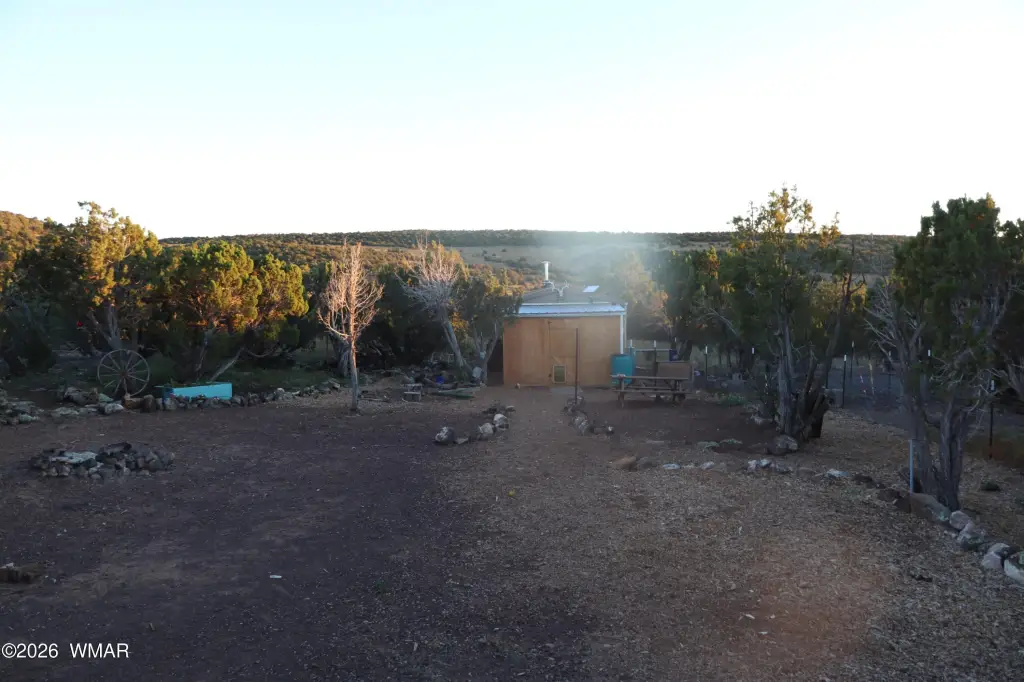 Picture 6
